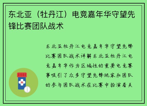 东北亚（牡丹江）电竞嘉年华守望先锋比赛团队战术